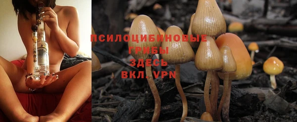 a pvp Абаза