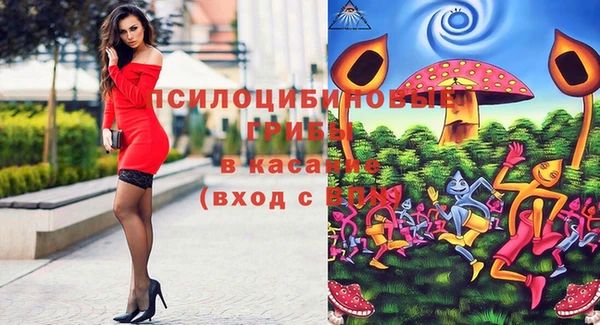 spice Абинск